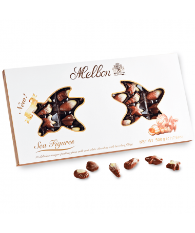 Premium chocolate sea-shaped bonbons