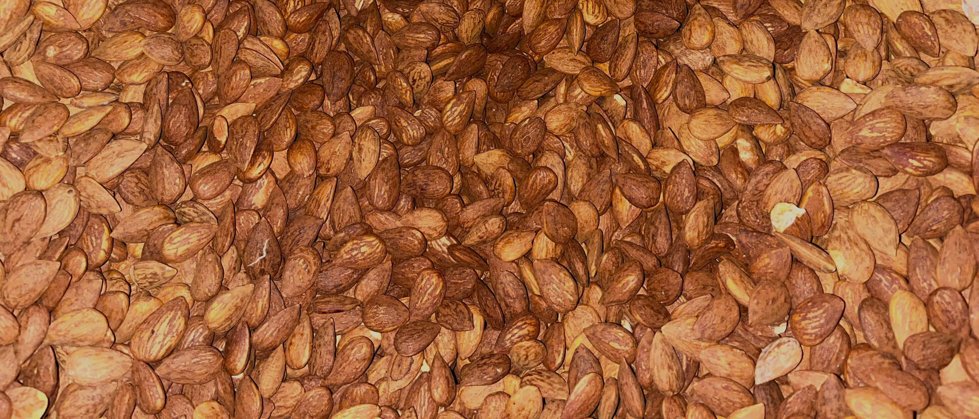 The secret behind our almond mantecados and polvorones: the wonder of the almond